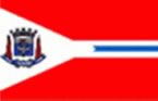 Bandeira de Suzano